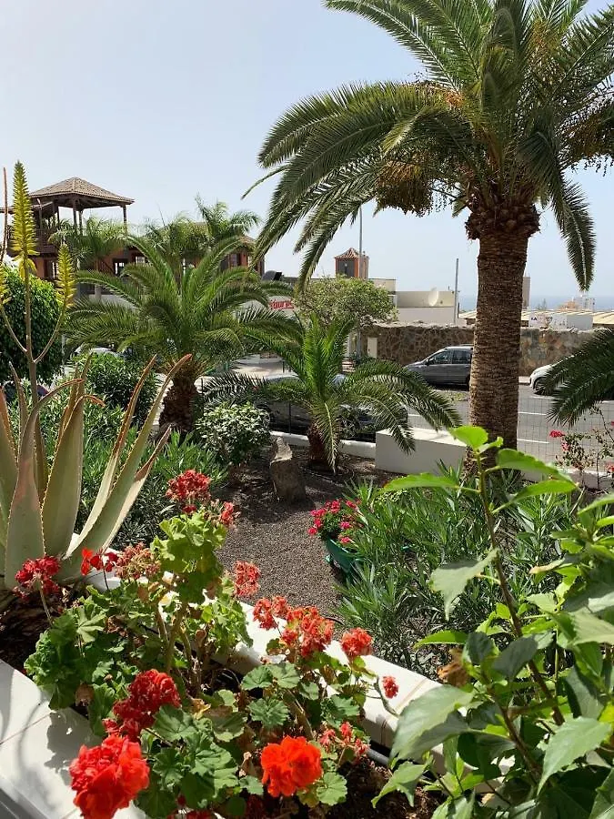 Chipeque Los Cristianos Arona  Arona (Tenerife)