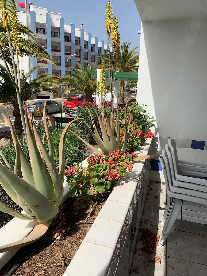 Apartament Chipeque Los Cristianos Arona